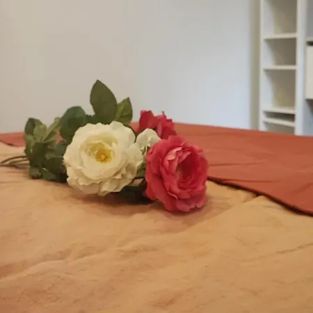 Centre Le Touquet, Familiale 3 Grandes Chambres, Terrasse, Intimité Et Confort Villa *