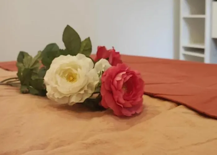 Familiale 3 Grandes Chambres, Centre Le Touquet, Confort Villa *